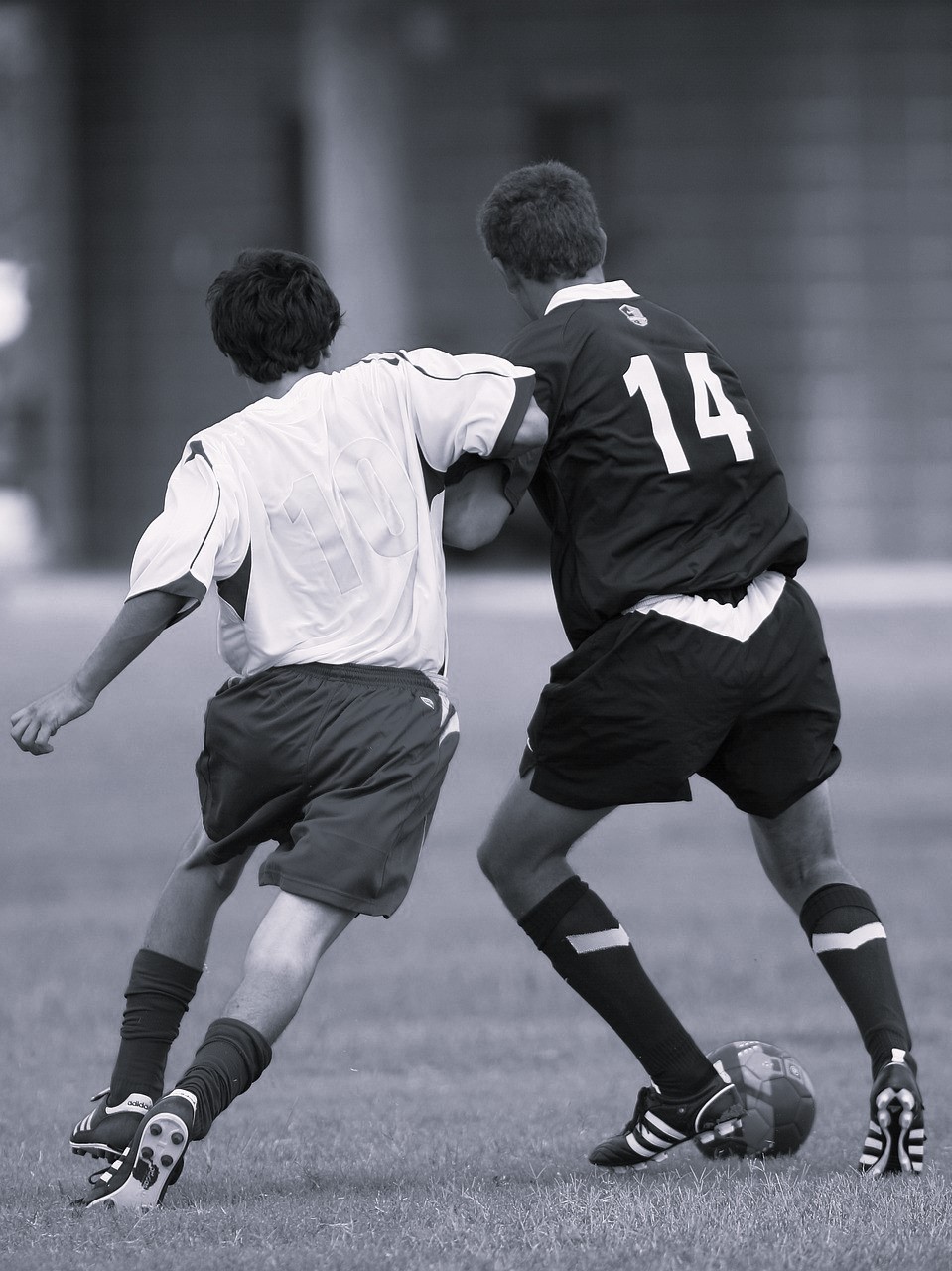 Secondo l'Istat il calcio in Italia è praticato da oltre 4,6 milioni di persone (dati 2015). 